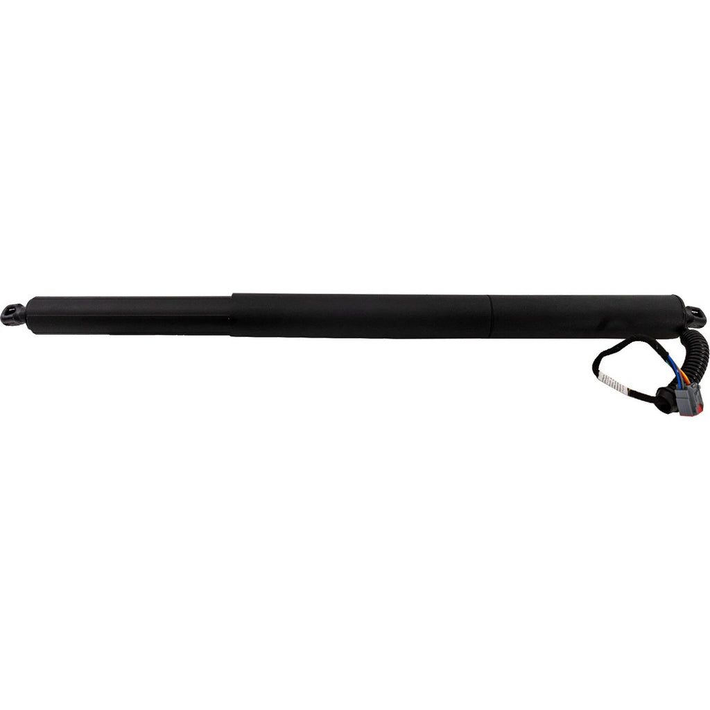 Liftgate Lift Supports for Jeep Cherokee (2019–2023)