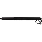 Liftgate Lift Supports for Jeep Cherokee (2019–2023)