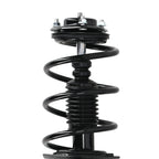 Rear Complete Strut Assembly Shock for Acura TL (2004–2008)