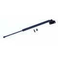 Liftgate Lift Supports for 4Runner
