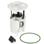 Delphi FG1206 Fuel Pump Module Assembly for Ford Edge, Lincoln MKX (2007–2010)