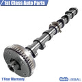 Intake Camshaft Timing Gear for Volkswagen Beetle Jetta Passat Audi A3 (2000–2023)