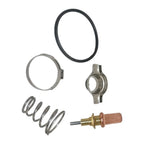 62℃/143℉ Thermostat for Mercury (892864T04, 8M0174561, 18-3631)