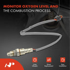 Downstream O2 Oxygen Sensor for Ford F-150, Mustang, Expedition (2018-2020)