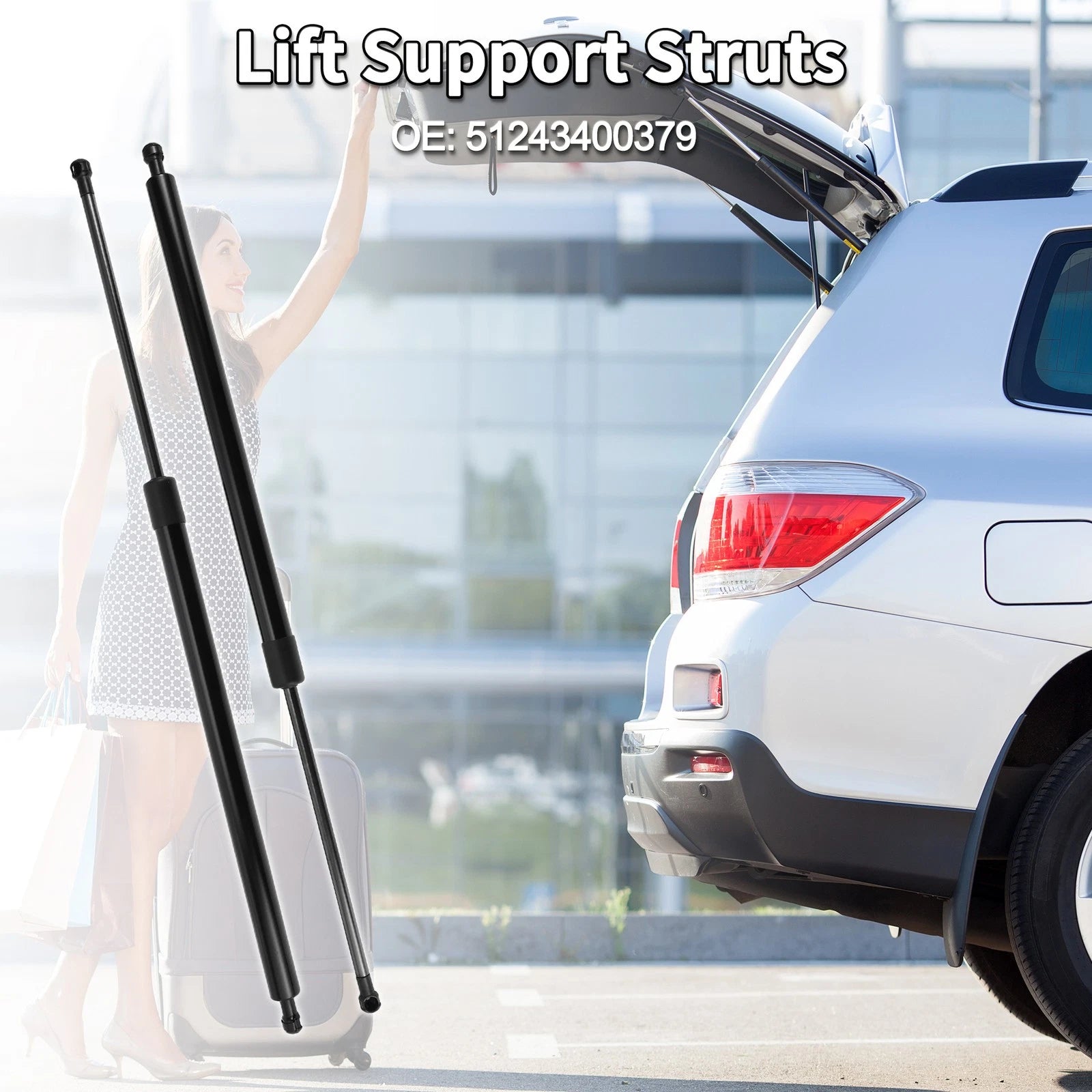 Rear Hatch Lift Supports Struts No. 51243400379 for BMW X3 E83 (2004–2010)
