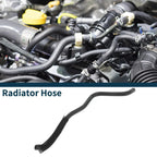 6.0L Radiator Hose for BMW 760Li (2010-2015)
