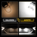 T10 168 W5W LED License Plate Light Bulbs for (2025)