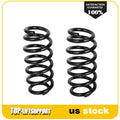 2X Rear Coil Springs for Toyota RAV4 (2006–2018)