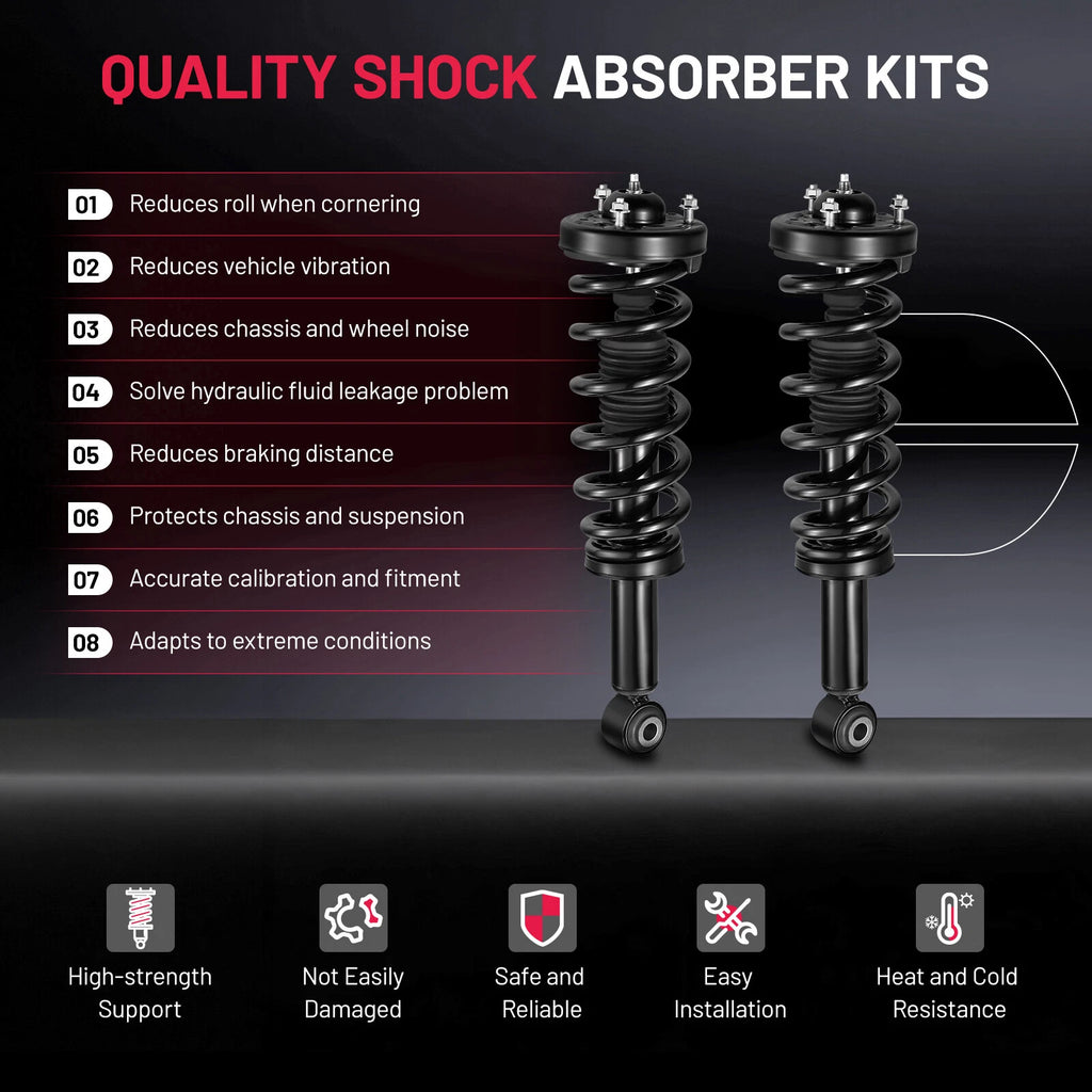 2Pc Front Shock Struts w/ Coil Spring Assembly for 2010-2010 Ford F-150 (4.6L)
