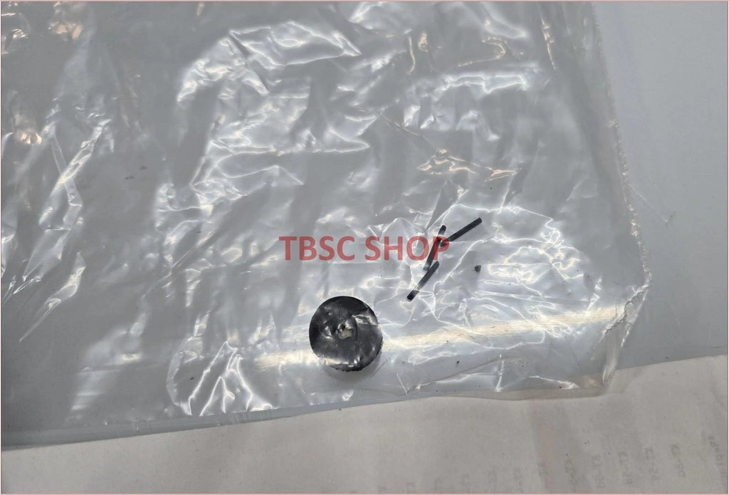 Electric Arc Etching Pen for Model-200 (110V 60Hz)