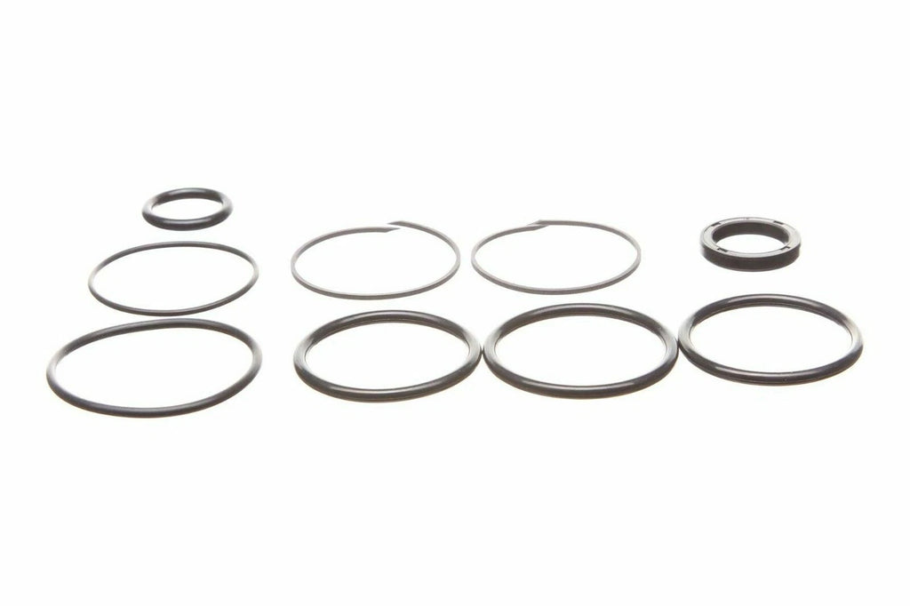 Replacement Seal Kit for OMC Cobra Tilt/Trim Cylinder 0985060, 3854247