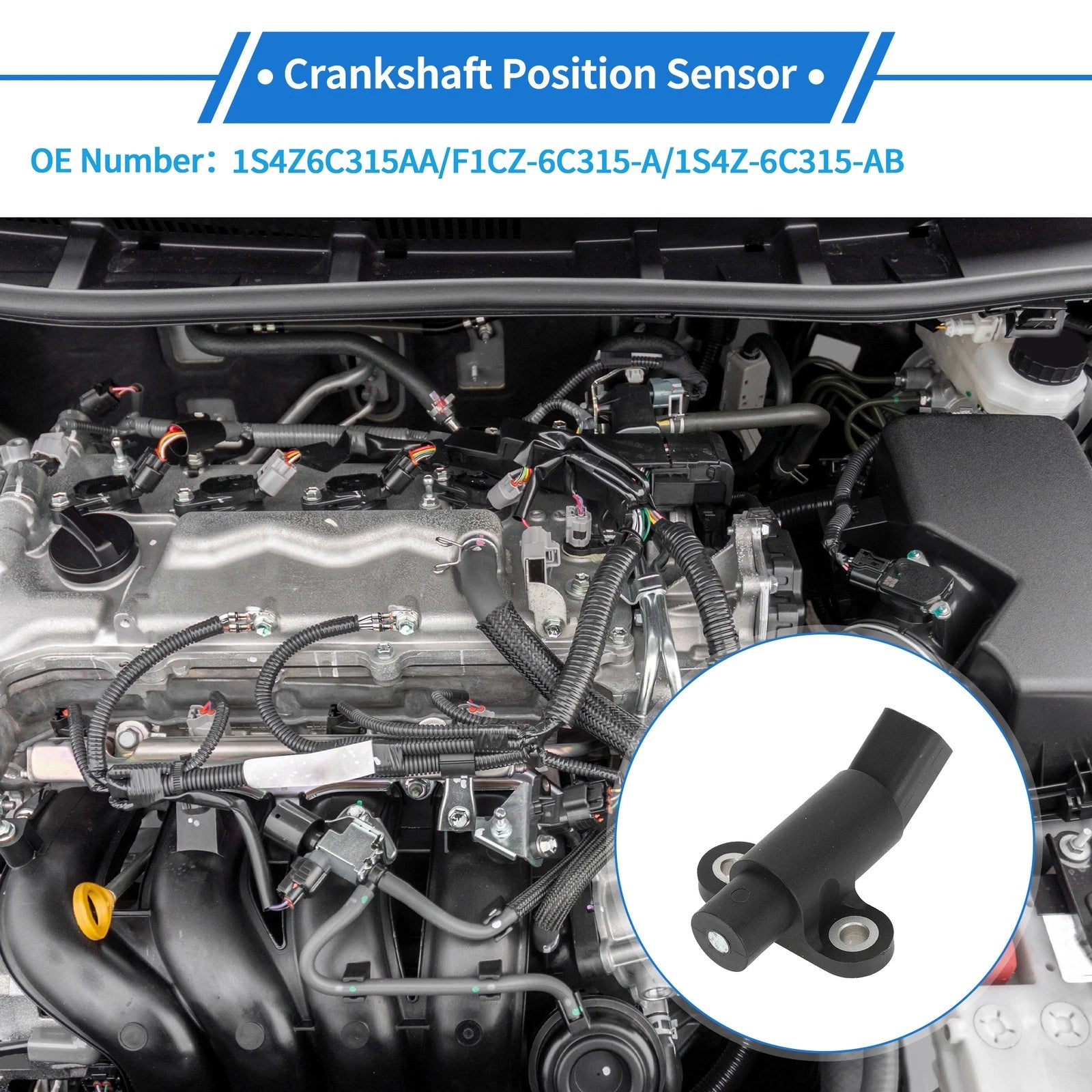 Crankshaft Position Sensor for Ford Focus 2.0 (2000–2003) 1S4Z6C315AA Black