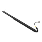Hatch Lift Support for Ford Escape (2013–2019) CJ54S402A55AD
