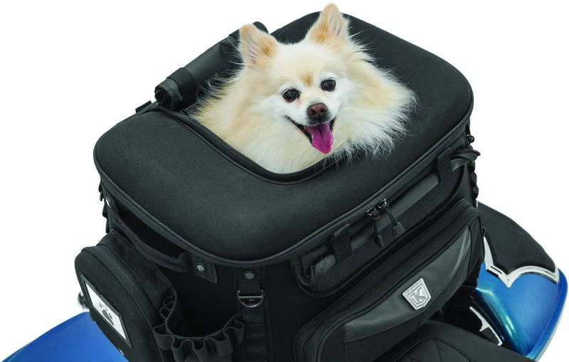 Kuryakyn Grand Pet Palace Motorcycle Pet Carrier for Touring Bikes (2014–2024)