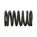 Valve Spring for Ford (R-E9NN6513BA) (2.39")