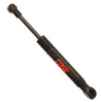 Deck Lid Lift Support for Volkswagen Beetle (2003–2008)
