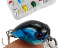 12pc Fishing Bait Set for Freshwater White Bream & Saltwater Bass