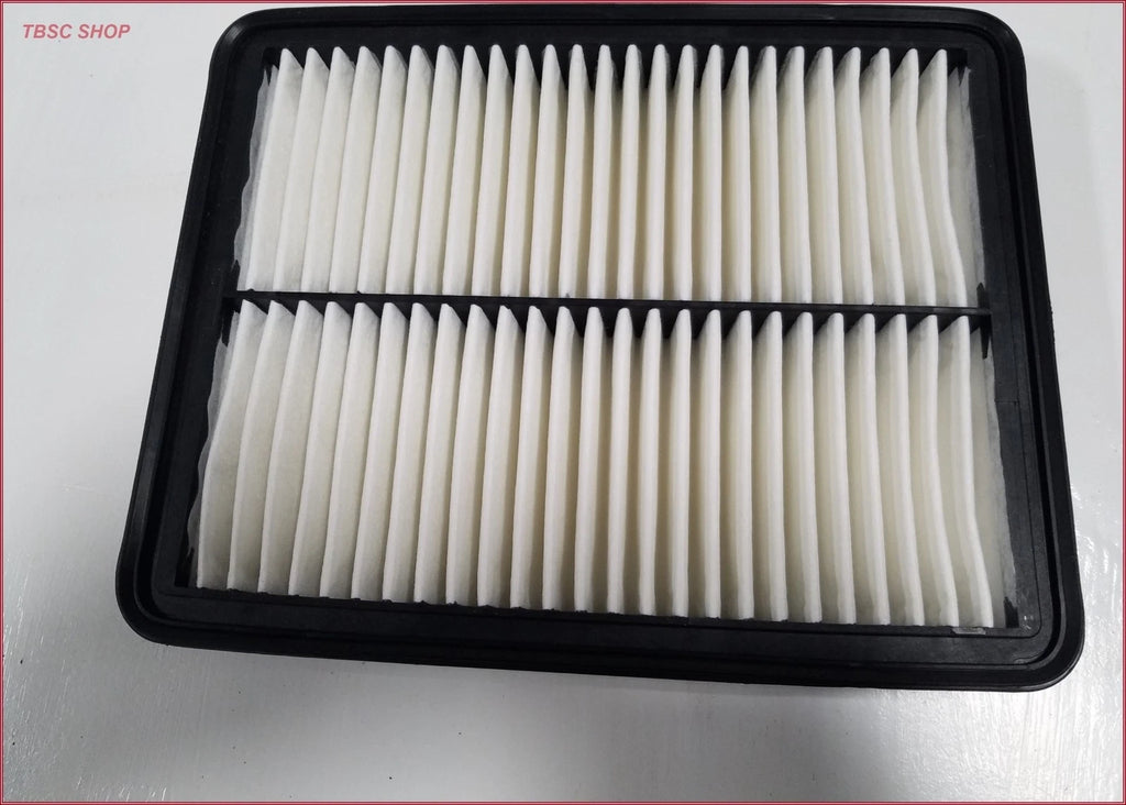 Luber-Finer AF2441 Air Filter for