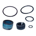 Hydraulic Cylinder Seal Kit for Ford/New Holland (Replaces 309956)