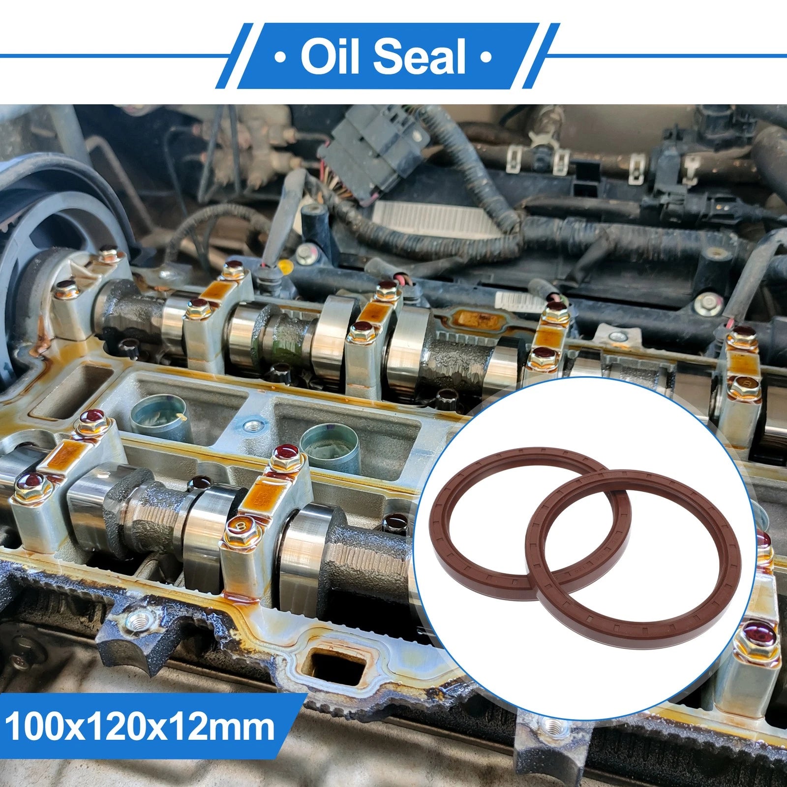 Set of 2 Oil Seal Rotary Shaft Seal FKM Rubber 100x120x12mm