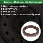 1 Pc Front Crankshaft Oil Seal for Chevrolet Cruze (2010–2015) No. 24465791