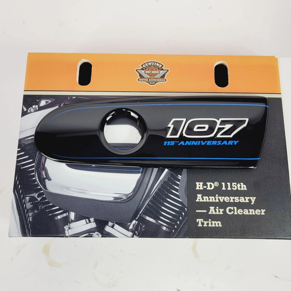 Air Cleaner Trim for Harley-Davidson M8 Touring Models (2017–2023) 61300900