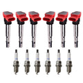 Set of 6 Ignition Coils & Denso Platinum Spark Plugs for Audi A4 A5 A6 (2005–2012)