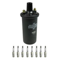 NGK Ignition Coil & 8 Nickel Spark Plugs Kit for C10 C20 C30 G20 K15 K20 P20 V8