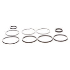 Replacement Tilt Trim Cylinder Seal Kit for OMC Cobra (1990–1999)