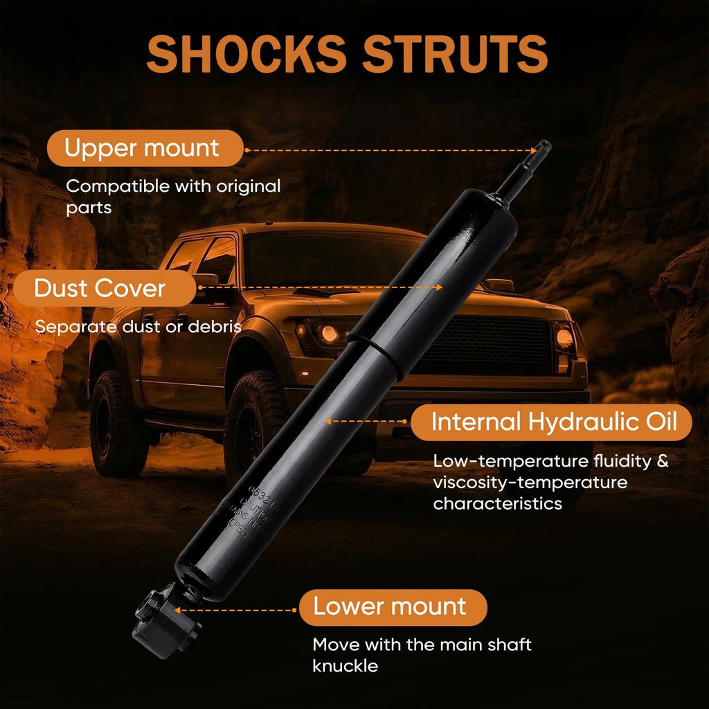 Set of 4 Struts Shocks for Dodge Ram 1500 (2002-2005) 4WD