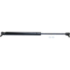 Lift Support for Lexus GS300 (1998–2004) Hood, Driver & Passenger Side