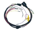 CDI Harness for Johnson Evinrude 150-175 HP Cross Flow (1991) 413-4221