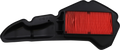 HIFLOFILTRO Air Filter for Honda Scooter (HFA1134)