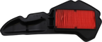 HIFLOFILTRO Air Filter for Honda Scooter (HFA1134)