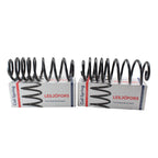 Rear Coil Spring Kit for Ford (4427553)