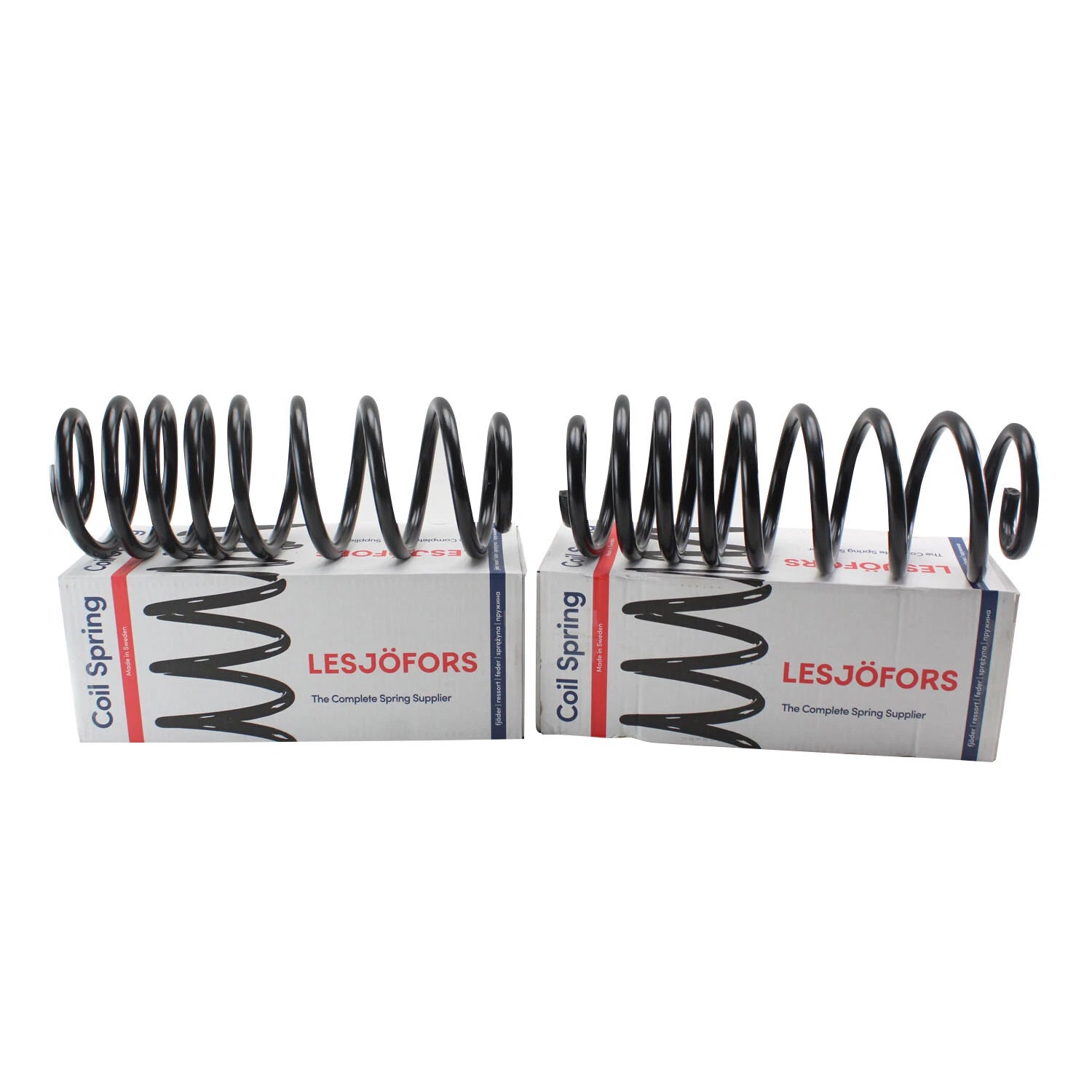 Rear Coil Spring Kit for Ford (4427553)