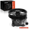 Power Steering Pump with Pulley for Ford Five Hundred Freestyle (2005–2007)