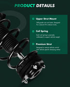Set of 2 Strut & Spring Assembly for Dodge Grand Caravan (2008–2015)