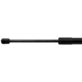 Liftgate Lift Supports for Ford Explorer (2020–2023)