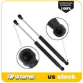 2X Rear Trunk Lift Support Shocks for Hyundai Genesis (2009–2014)