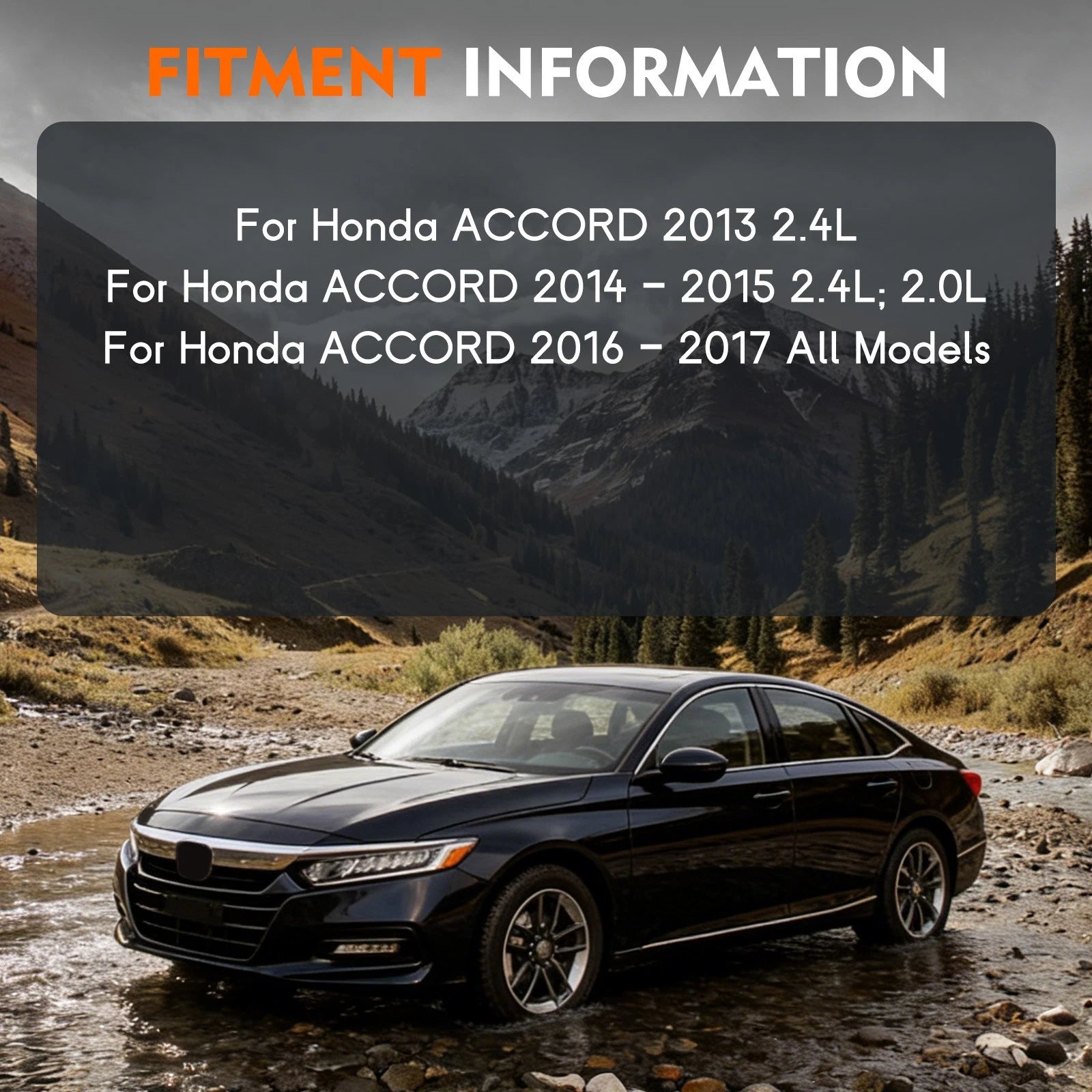 Rear Struts & Sway Bars for Honda Accord (2013-2017)
