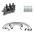 Denso Ignition Coil Wires & NGK Spark Plugs Kit for E-250, F-150 (V6 Vin 2)