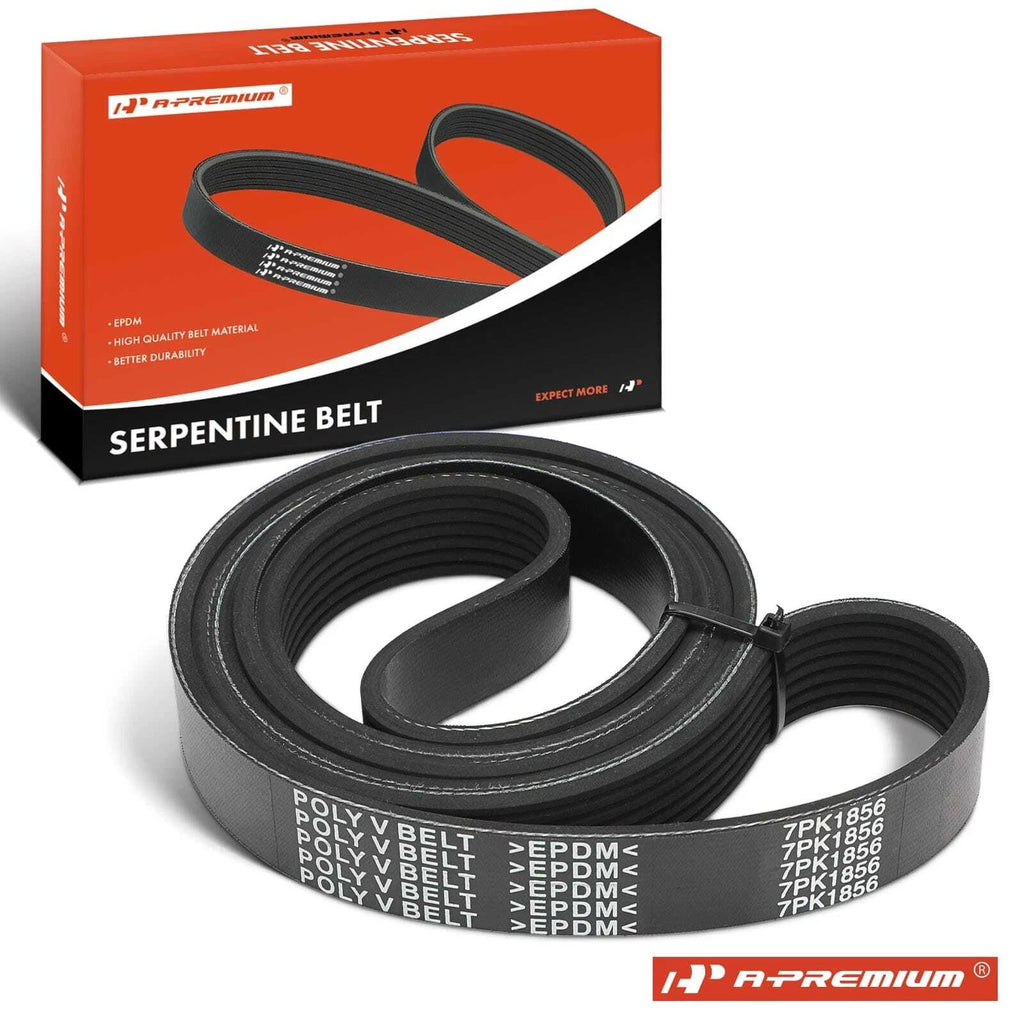 Serpentine Belt for BMW 335i 2007–2010