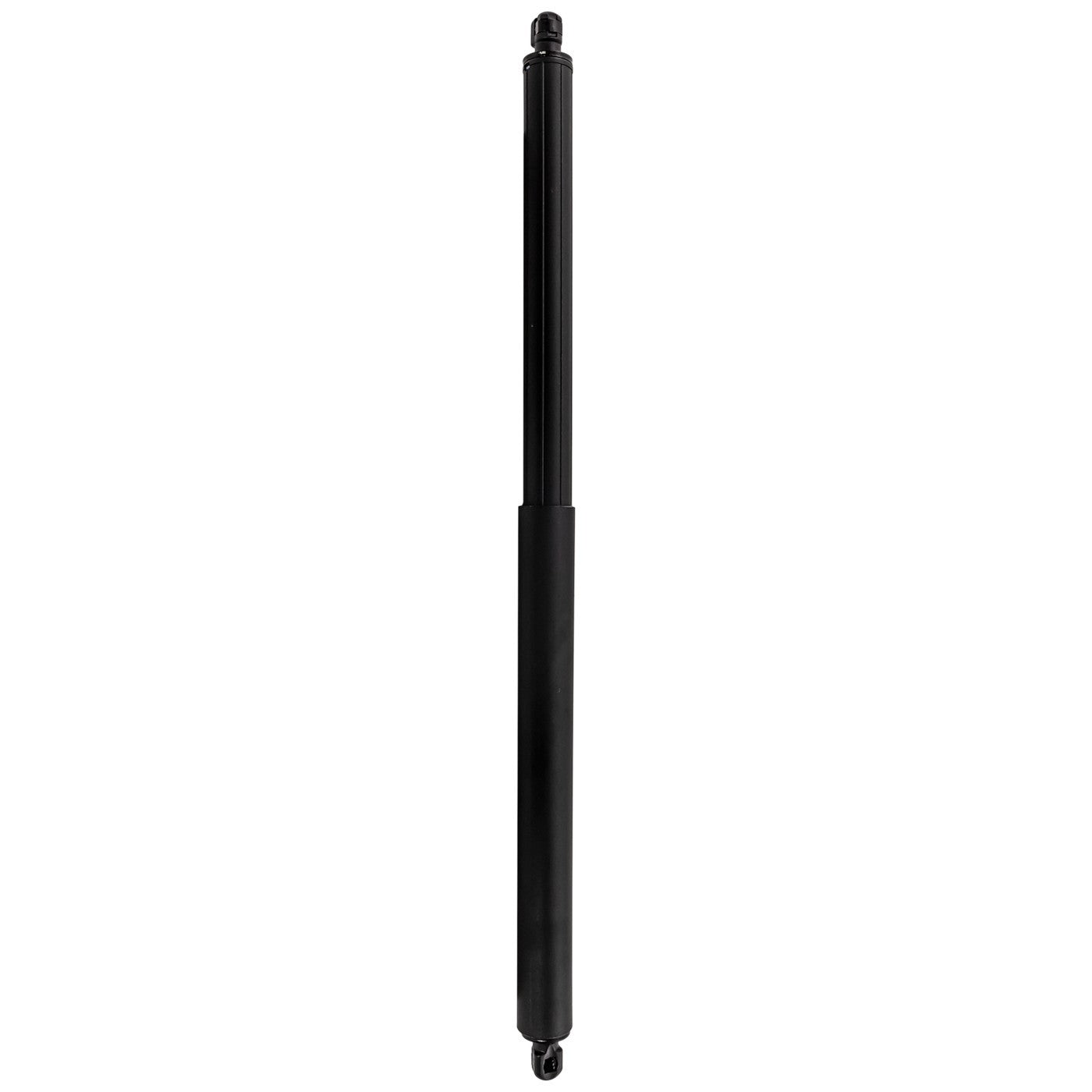 Set of 2 Hatch Lift Supports for Ford