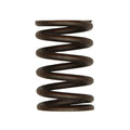 Valve Spring for Ford/New Holland (Replaces 3911693)