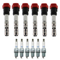 Set of 6 Ignition Coils & NGK Laser Iridium Spark Plugs for NSX A4 A6 Q5