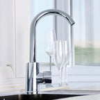 ABS Plastics Kitchen Faucet Sink Mixer Sprayer Single Handle w/Hoses Hot/Cold