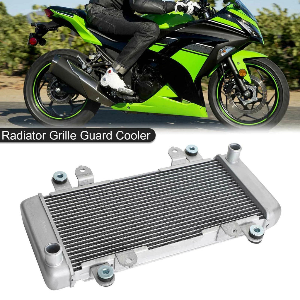 Radiator Guard for Kawasaki Ninja 300 EX300 (2013–2017) T9