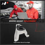 Front Passenger Engine Motor Mount for Honda CR-V (2020-2022)