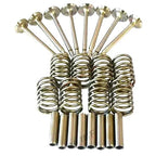 Valve Train Kit for Massey Ferguson 35 135 (Petrol Tractors)